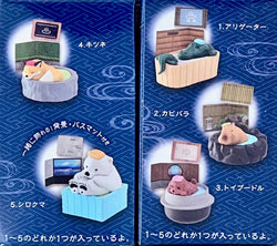 73096 Bathtime Spa Animals Blind Box-10