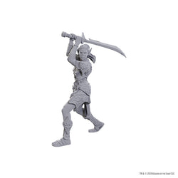 Nolzur's Marvelous Miniatures - Special Edition Baldur's Gate 3: Lae'zel & Shadowheart
