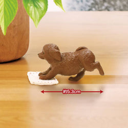 【JAPANESE BIND BOX】FLOOR SCRUBBING DUTY – ALL FOR ONE!