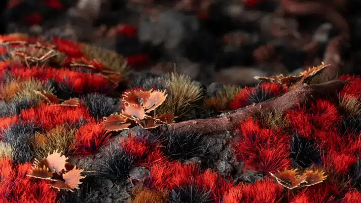 GamerGrass Alien Blood Moon Tuft (6mm)