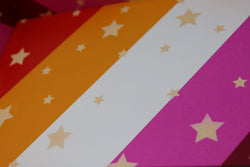Chromatic Pride Dice Tray - Lesbian