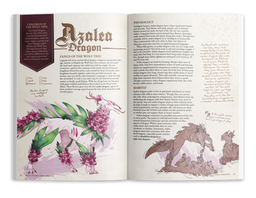 The Field Guide To Floral Dragons: Flower Dragon Bestiary - 5e D&D (Hardcover)