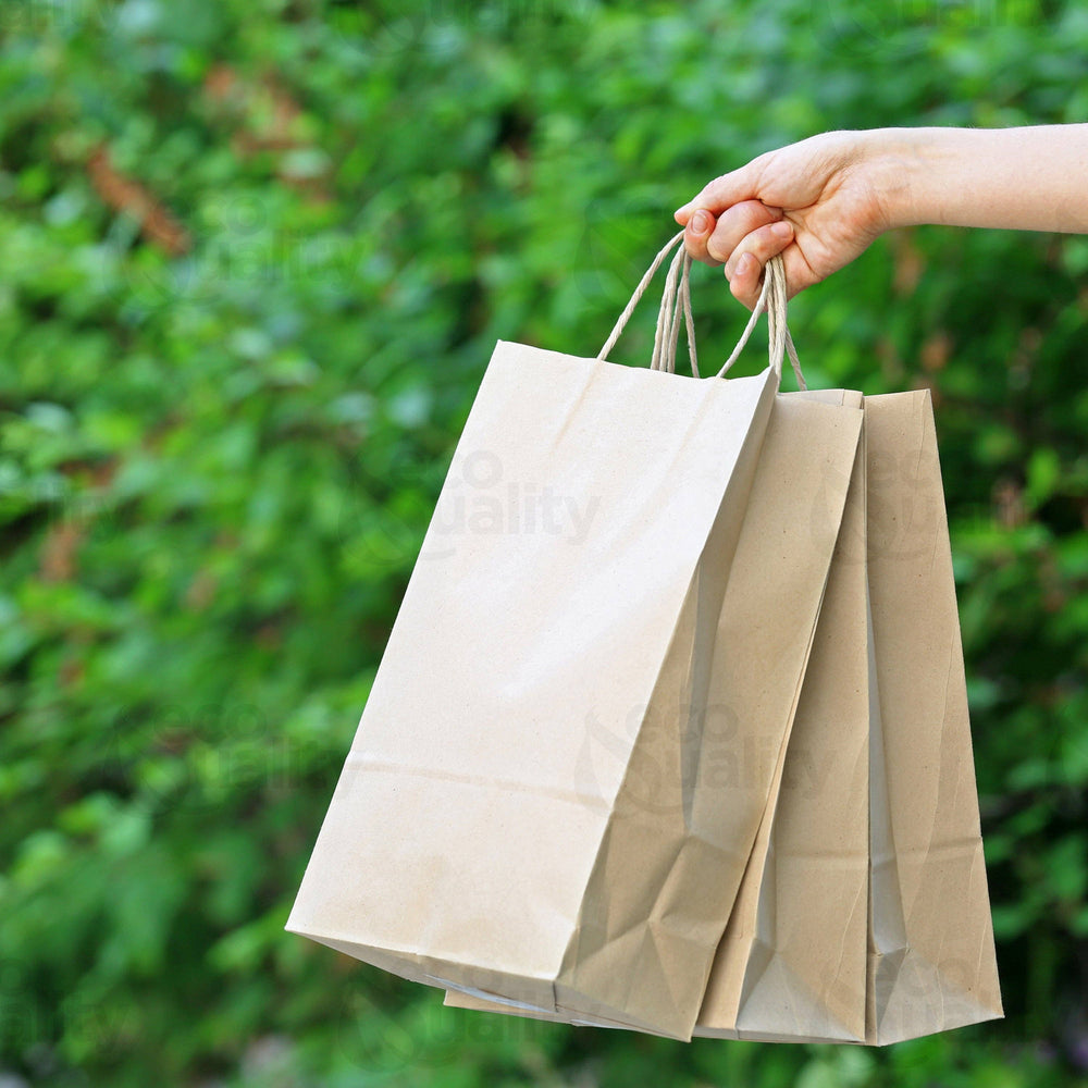 10x5x13 Medium Kraft Paper Gift Bags w/Twine Handles Brown: 250pcs