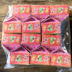 Milk Carton Mystery Dice 12 Pack Different Fruit Kawaii Cats