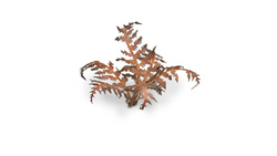 GamerGrass Dry Bracken