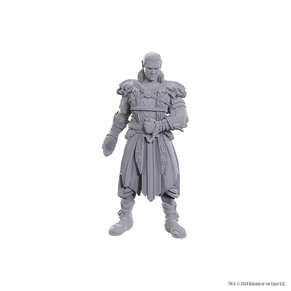 Nolzur's Marvelous Miniatures - Special Edition Baldur's Gate 3: Jaheira & Halsin