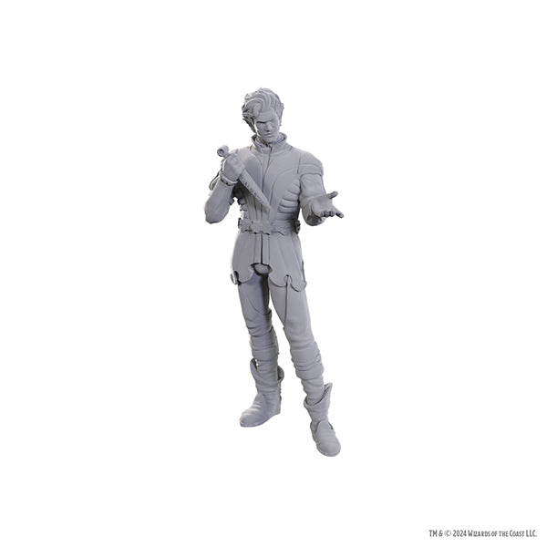 Nolzur's Marvelous Miniatures - Special Edition Baldur's Gate 3: Gale & Astarion