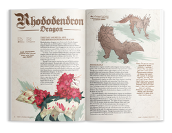 The Field Guide To Floral Dragons: Flower Dragon Bestiary - 5e D&D (Hardcover)