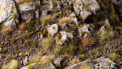 GamerGrass Tiny Dry Green