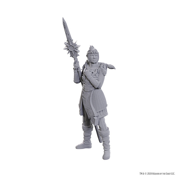 Nolzur's Marvelous Miniatures - Special Edition Baldur's Gate 3: Lae'zel & Shadowheart