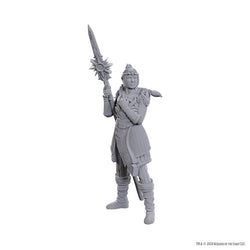 Nolzur's Marvelous Miniatures - Special Edition Baldur's Gate 3: Lae'zel & Shadowheart
