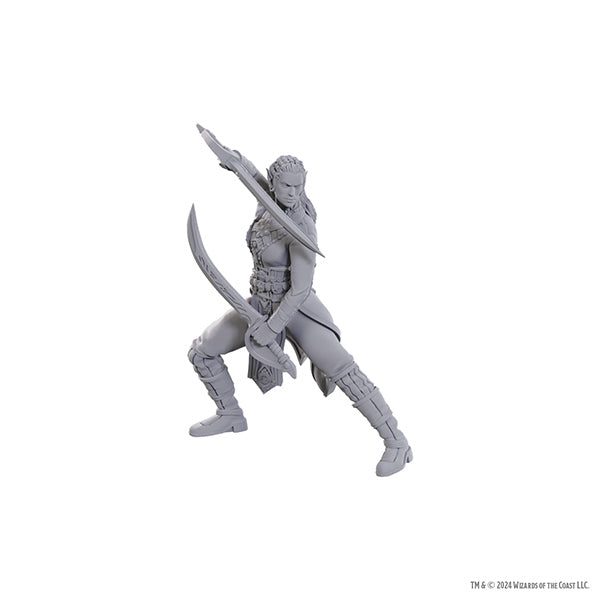 Nolzur's Marvelous Miniatures - Special Edition Baldur's Gate 3: Jaheira & Halsin