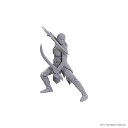 Nolzur's Marvelous Miniatures - Special Edition Baldur's Gate 3: Jaheira & Halsin
