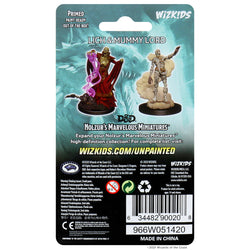 Nolzurs Marvelous Miniatures — Lich & Mummy Lord