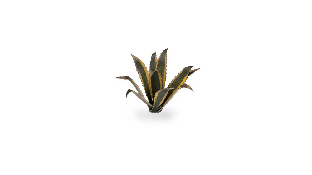 GamerGrass Agave