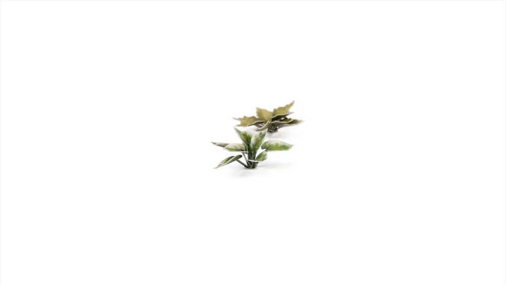 GamerGrass Plantain Lily
